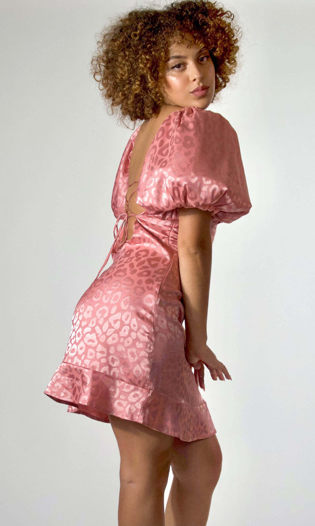 PINK FELINE - pink leopard print mini dress Jayli's Runway
